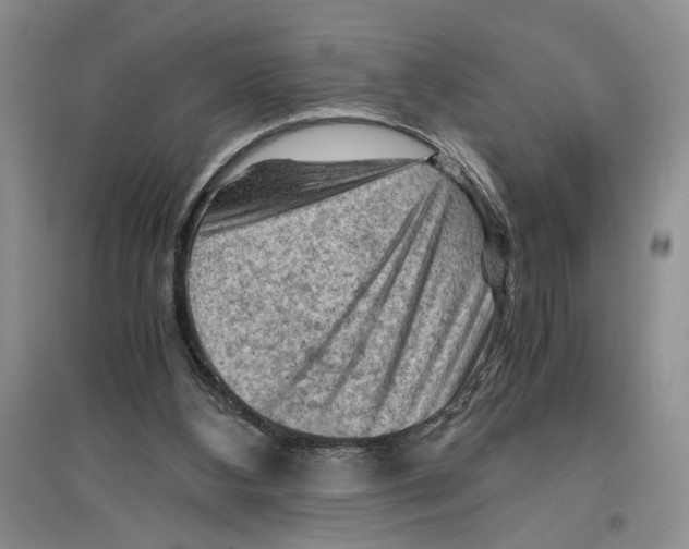 X0000096440108200802211220