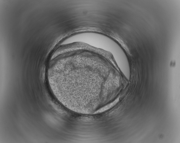 X0000096440110200802211220