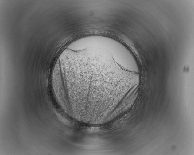 X0000096440114200802211220