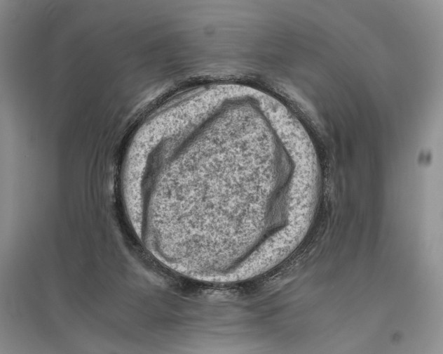 X0000096440115200802211220