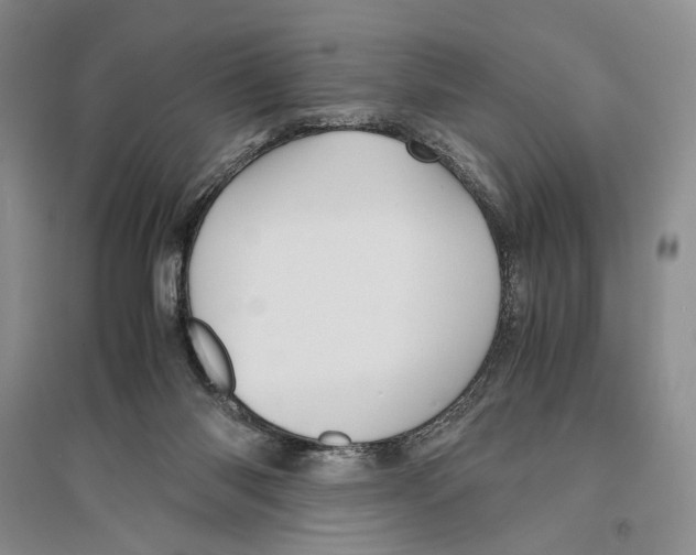 X0000096440118200802211220