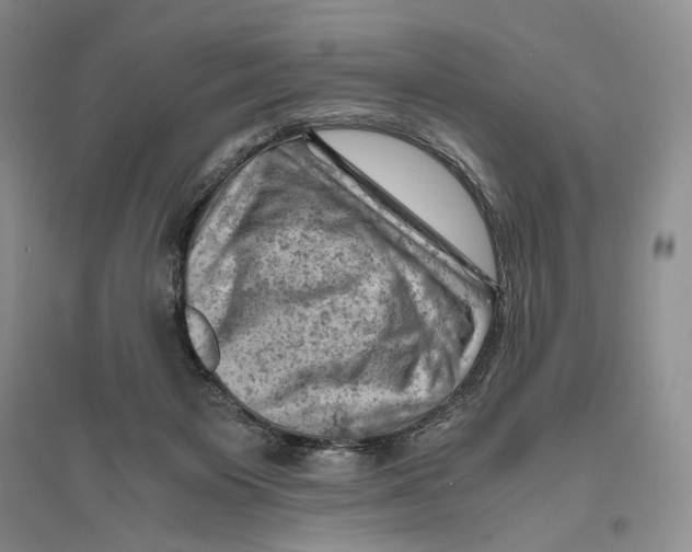 X0000096440119200802211220