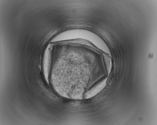 X0000096440120200802211220