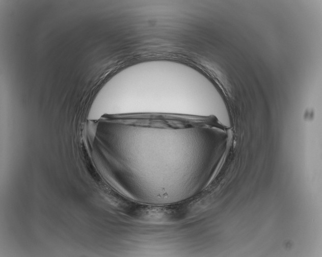 X0000096440121200802211220