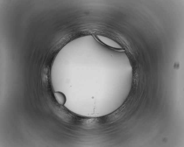 X0000096440122200802211220