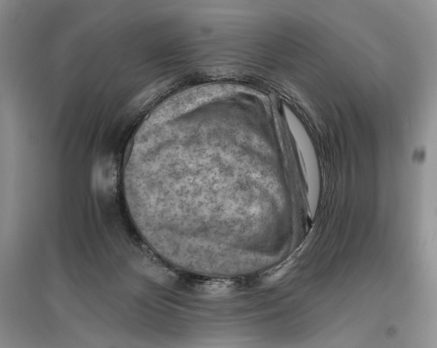 X0000096440124200802211220