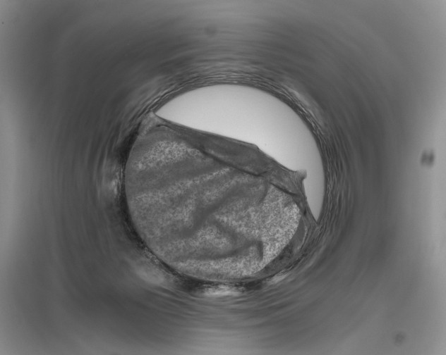 X0000096440125200802211220