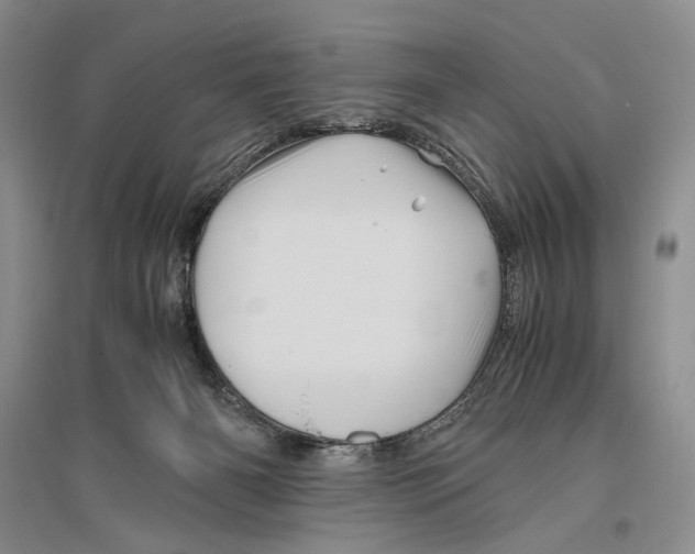 X0000096440126200802211220