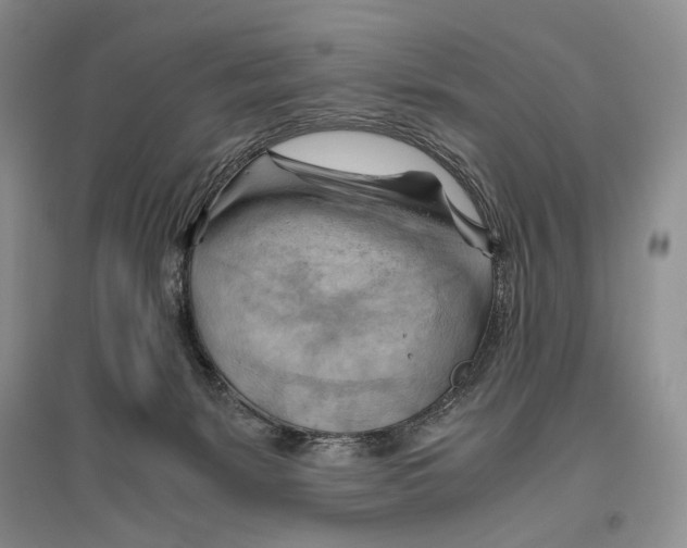 X0000096440127200802211219