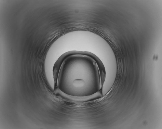 X0000096440128200802211219