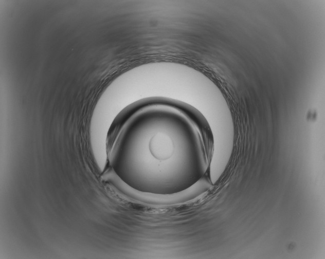 X0000096440129200802211219