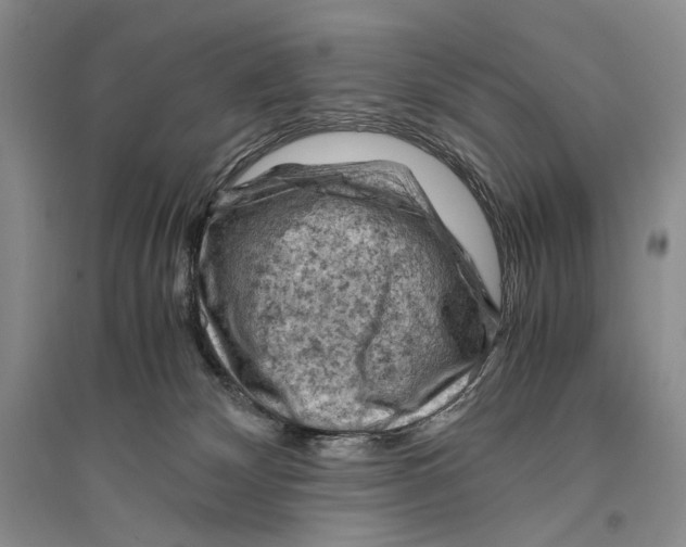 X0000096440132200802211219