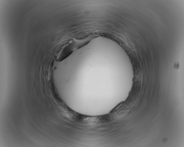 X0000096440133200802211219