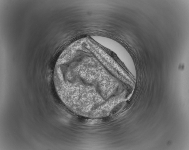 X0000096440135200802211219