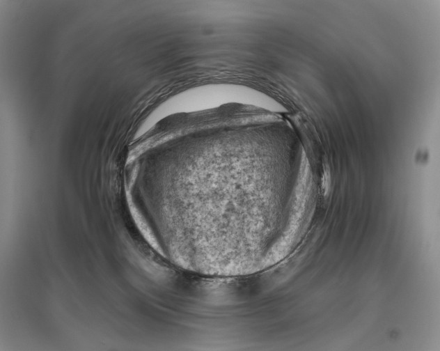 X0000096440136200802211219