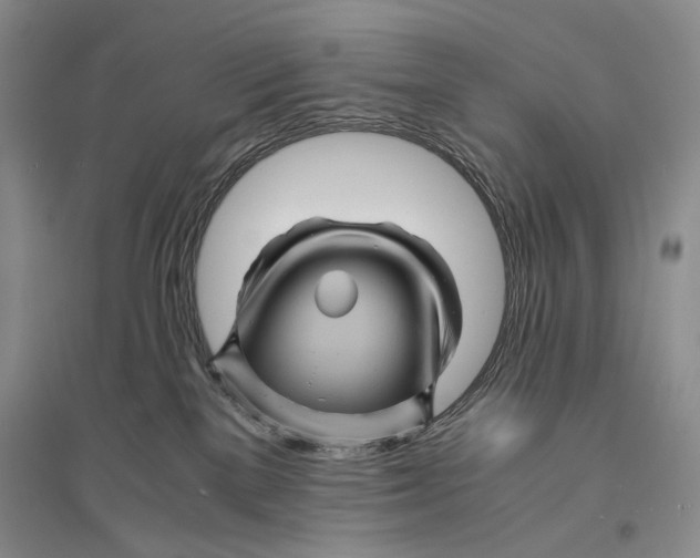 X0000096440137200802211219