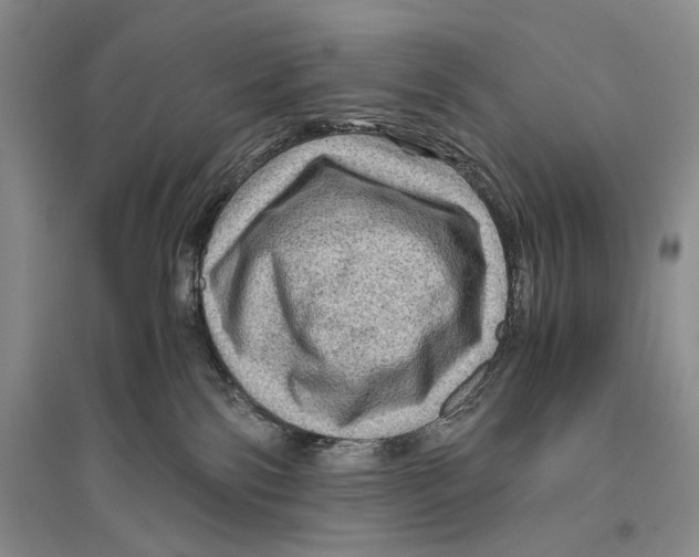 X0000096440138200802211219