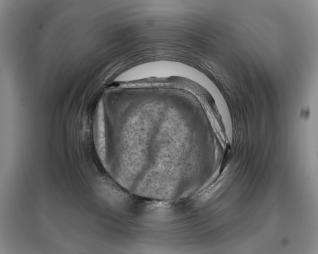 X0000096440140200802211219