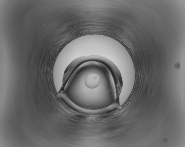 X0000096440141200802211219