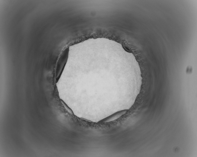 X0000096440144200802211219