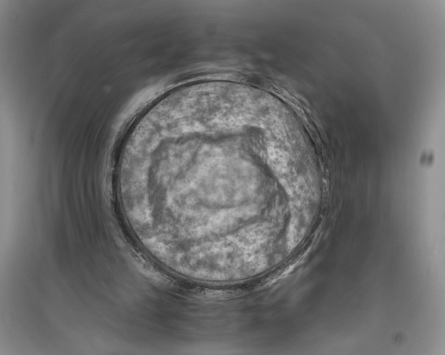 X0000096440149200802211219