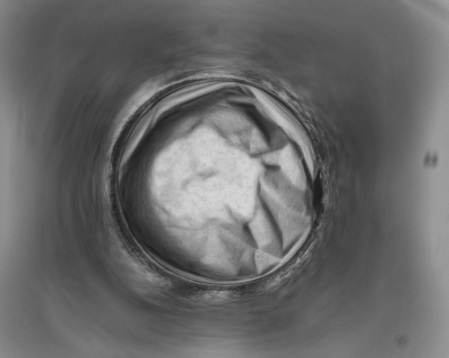 X0000096440152200802211219