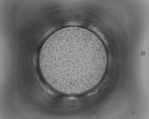 X0000096440153200802211219