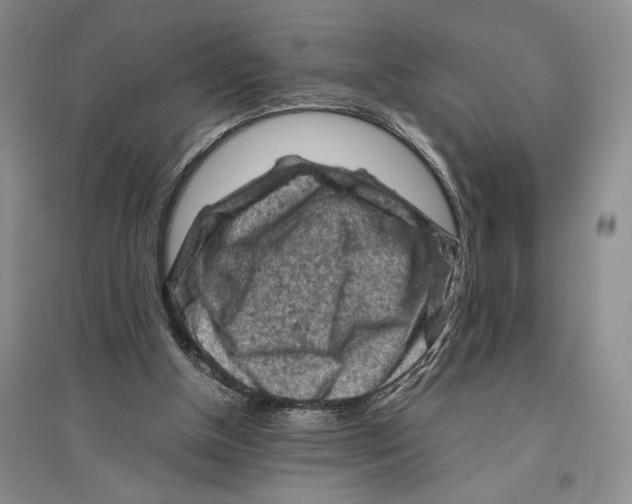 X0000096440154200802211219