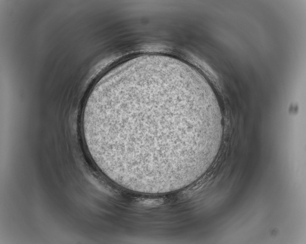 X0000096440155200802211219