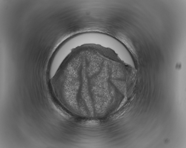 X0000096440156200802211219