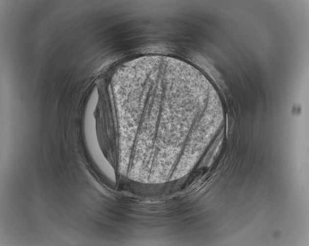 X0000096440157200802211219