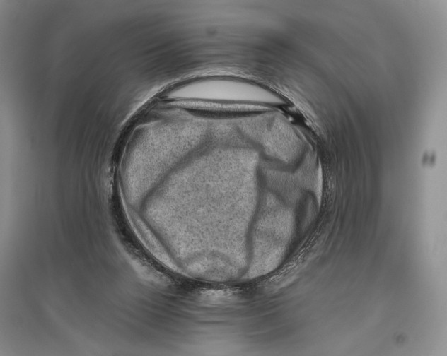 X0000096440160200802211219