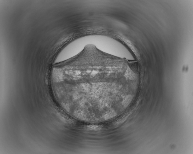 X0000096440161200802211219