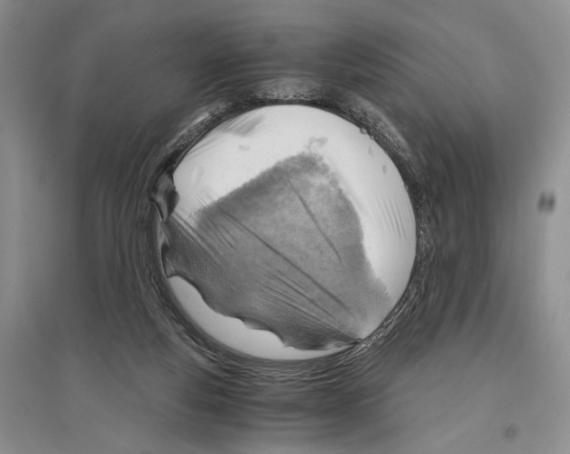 X0000096440163200802211219