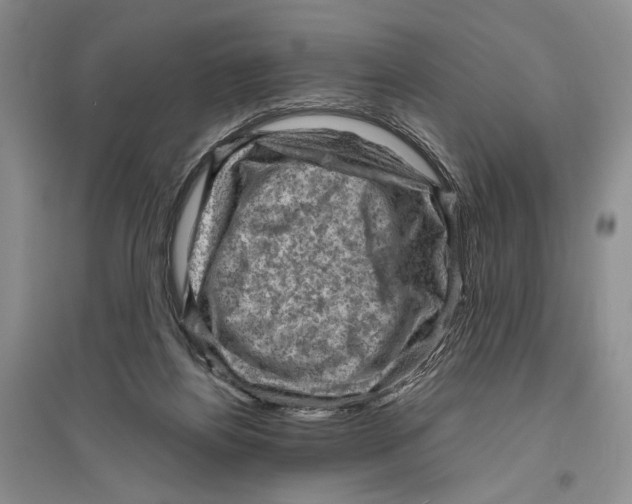 X0000096440164200802211219