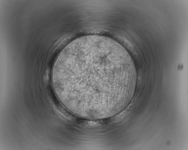 X0000096440166200802211219