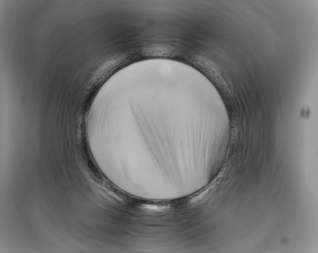 X0000096440167200802211219