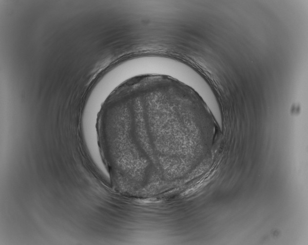 X0000096440168200802211219