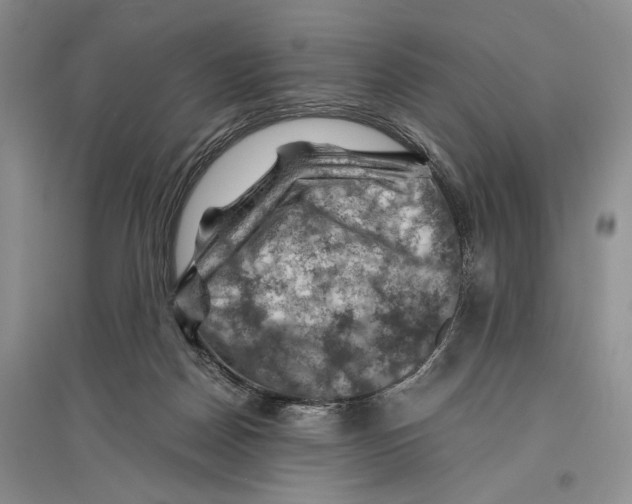 X0000096440170200802211219