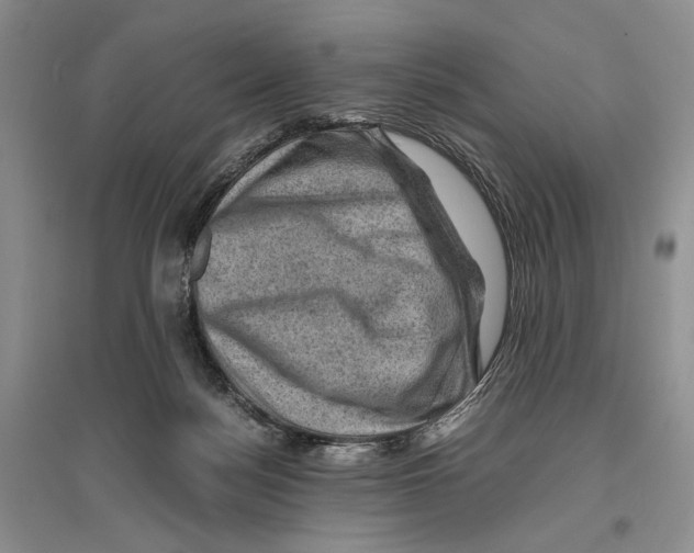 X0000096440172200802211219