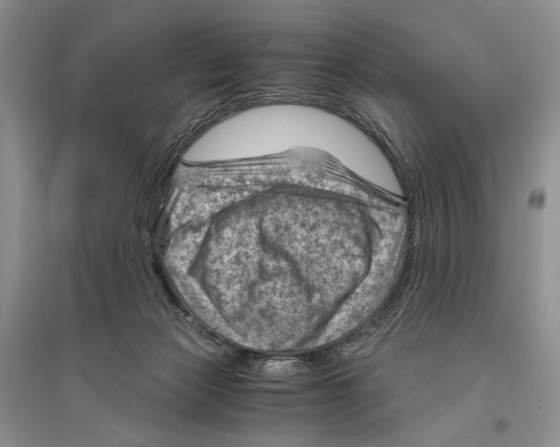 X0000096440173200802211219