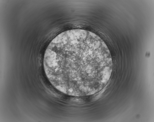 X0000096440174200802211219