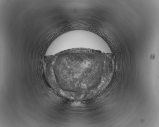 X0000096440177200802211219