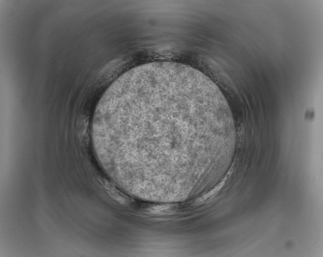 X0000096440178200802211219