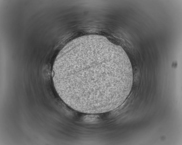 X0000096440179200802211219