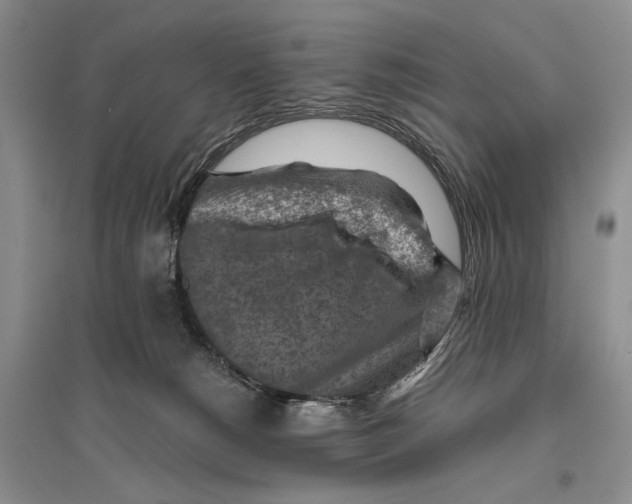 X0000096440180200802211219