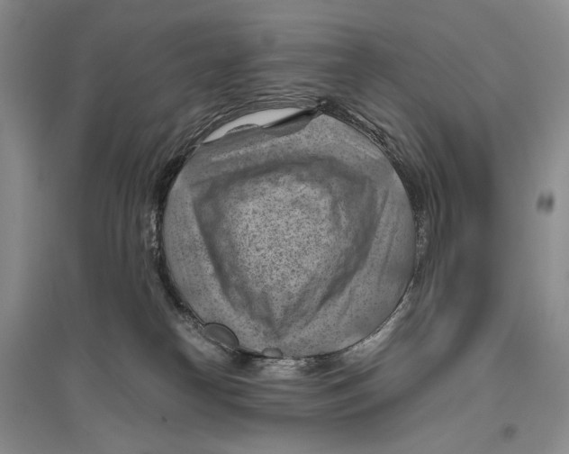 X0000096440182200802211219