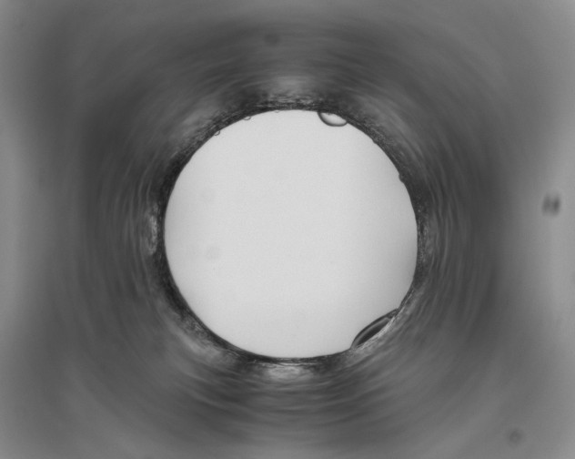 X0000096440183200802211219