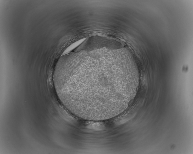 X0000096440185200802211219