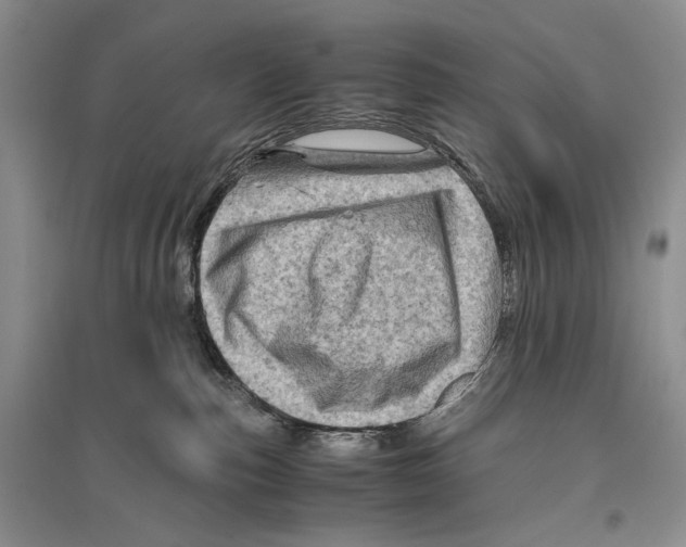 X0000096440187200802211219